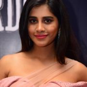 Nabha Natesh Hot Photos in Pink Dress at Dadasaheb Phalke Awards Event
