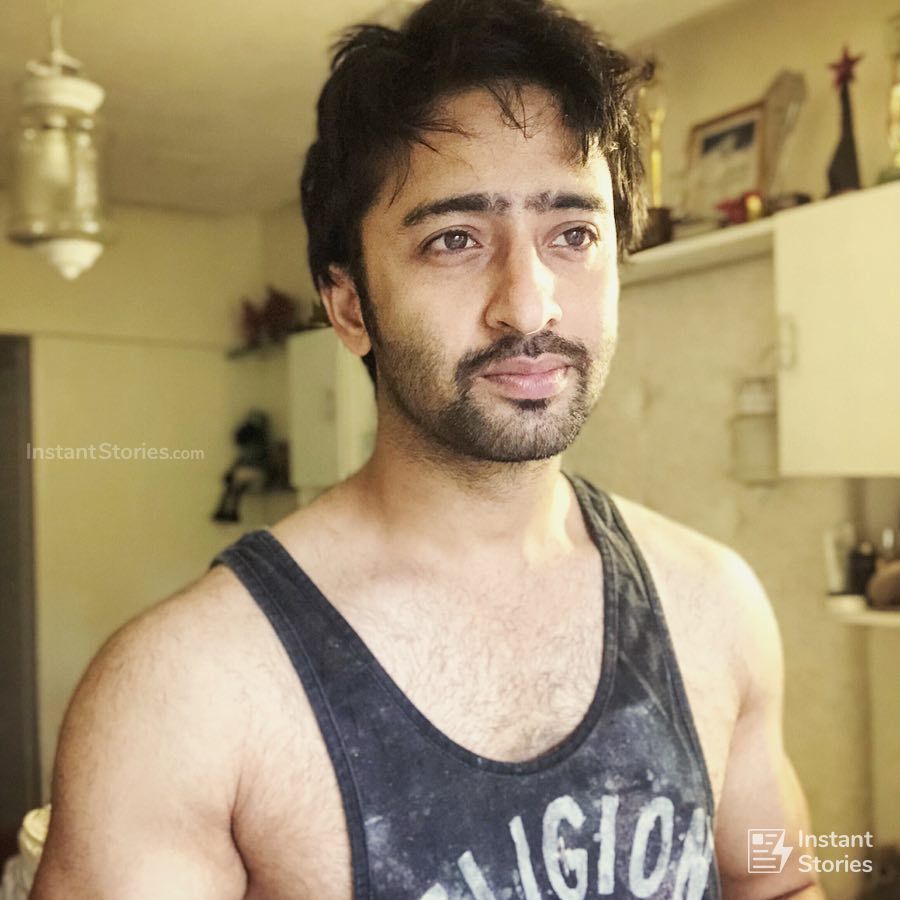 Shaheer Sheikh Latest Hot HD Photos/Wallpapers (1080p,4k) (8939) - Shaheer Sheikh