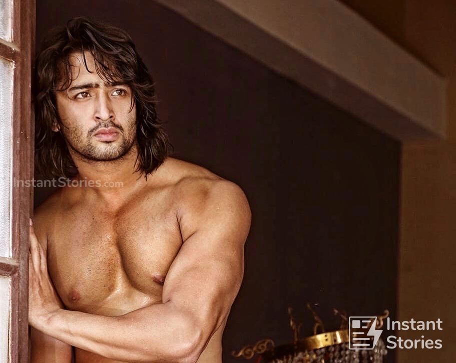 Shaheer Sheikh Latest Hot HD Photos/Wallpapers (1080p,4k) (8966) - Shaheer Sheikh