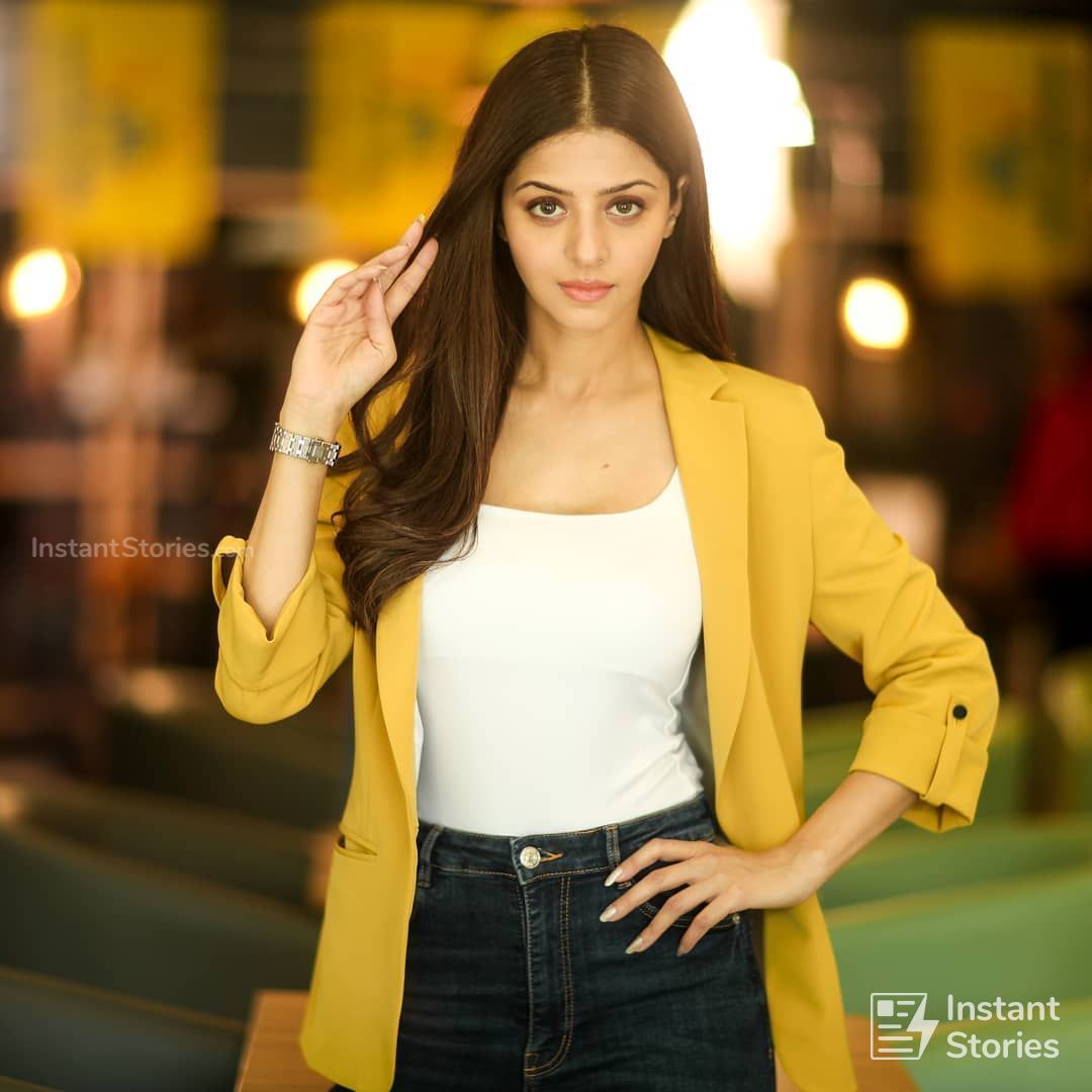 Vedhika Latest Hot HD Photos/Wallpapers (1080p,4k) (12965) - Vedhika